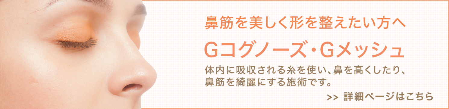 Gコグノーズ・Gメッシュ