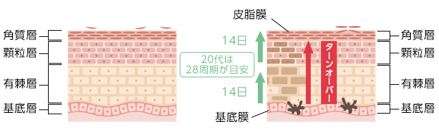 ここに画像名