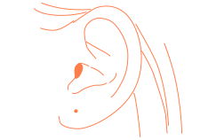 ピアス